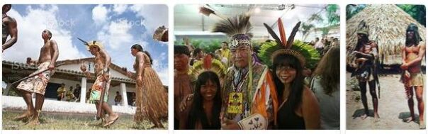 Brazil Indigenous Civilizations 2