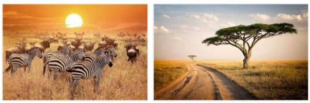Serengeti National Park 2